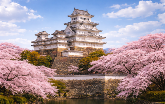 「画面越しの旅」で見つけた、お城の『裏側』