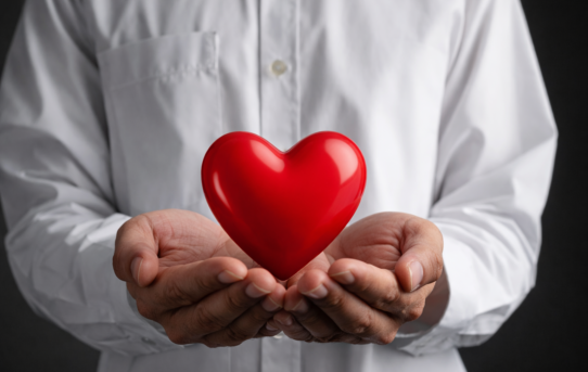 現代影絵プロジェクトが「名前」に刻んだ、江戸の光と人の情